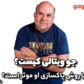جو ویتالی